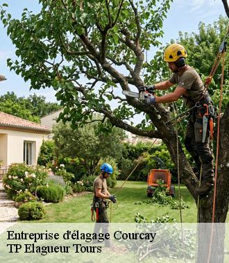 Entreprise élagage  courcay-37310 TP Elagueur Tours 