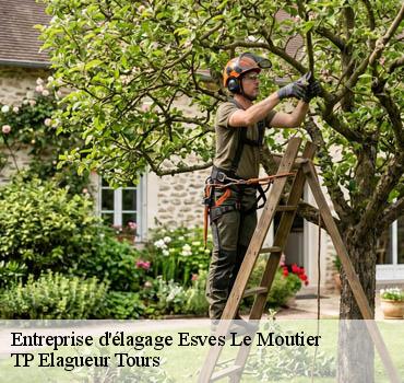 Entreprise élagage  esves-le-moutier-37240 TP Elagueur Tours 