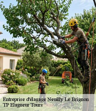 Entreprise élagage  neuilly-le-brignon-37160 TP Elagueur Tours 
