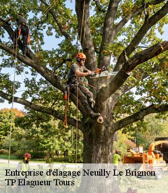 Entreprise élagage  neuilly-le-brignon-37160 TP Elagueur Tours 
