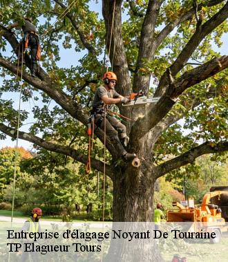 Entreprise élagage  noyant-de-touraine-37800 TP Elagueur Tours 
