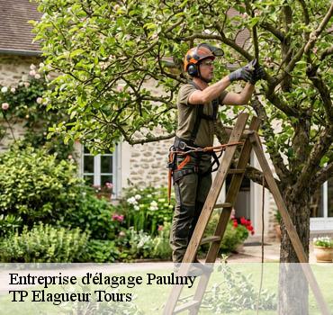 Entreprise élagage  paulmy-37350 TP Elagueur Tours 