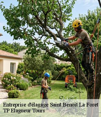 Entreprise élagage  saint-benoit-la-foret-37500 TP Elagueur Tours 