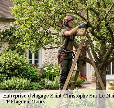 Entreprise élagage  saint-christophe-sur-le-nais-37370 TP Elagueur Tours 