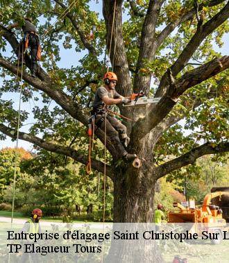 Entreprise élagage  saint-christophe-sur-le-nais-37370 TP Elagueur Tours 