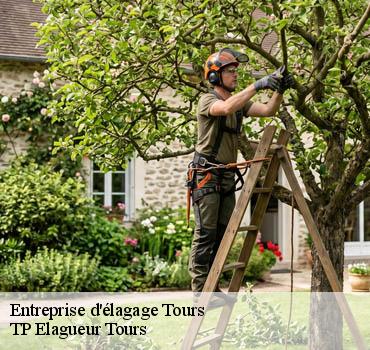 Entreprise élagage  tours-37000 TP Elagueur Tours 