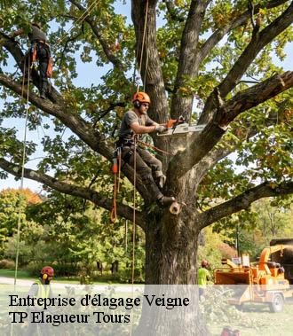 Entreprise élagage  veigne-37250 TP Elagueur Tours 