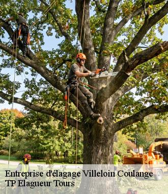 Entreprise élagage  villeloin-coulange-37460 TP Elagueur Tours 