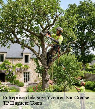 Entreprise élagage  yzeures-sur-creuse-37290 TP Elagueur Tours 