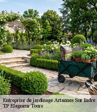 Entreprise de jardinage  artannes-sur-indre-37260 TP Elagueur Tours 