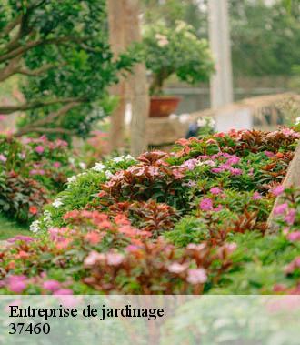 Entreprise de jardinage  cere-la-ronde-37460 TP Elagueur Tours 