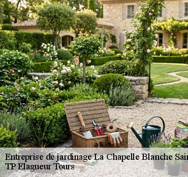 Entreprise de jardinage  la-chapelle-blanche-saint-martin-37240 TP Elagueur Tours 
