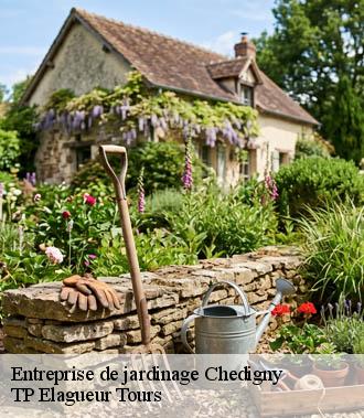 Entreprise de jardinage  chedigny-37310 TP Elagueur Tours 
