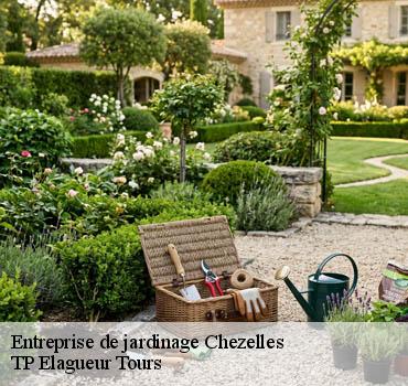 Entreprise de jardinage  chezelles-37220 TP Elagueur Tours 