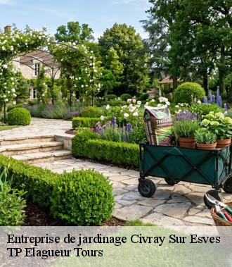 Entreprise de jardinage  civray-sur-esves-37160 TP Elagueur Tours 