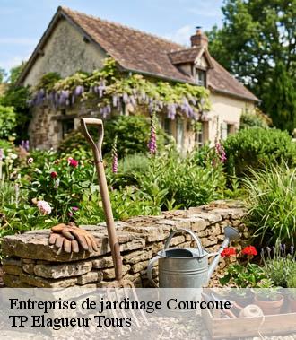 Entreprise de jardinage  courcoue-37120 TP Elagueur Tours 