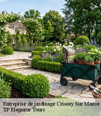 Entreprise de jardinage  crissay-sur-manse-37220 TP Elagueur Tours 