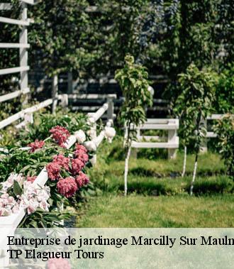Entreprise de jardinage  marcilly-sur-maulne-37330 TP Elagueur Tours 