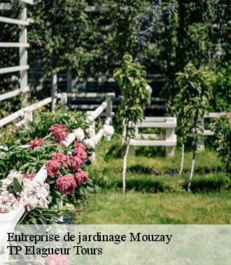 Entreprise de jardinage  mouzay-37600 TP Elagueur Tours 