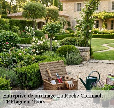 Entreprise de jardinage  la-roche-clermault-37500 TP Elagueur Tours 