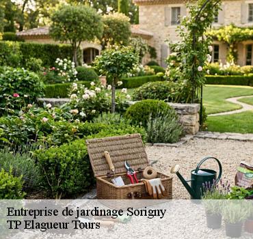 Entreprise de jardinage  sorigny-37250 TP Elagueur Tours 