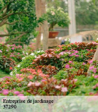 Entreprise de jardinage  yzeures-sur-creuse-37290 TP Elagueur Tours 