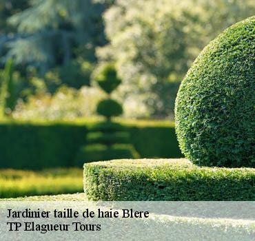 Jardinier taille de haie  blere-37150 TP Elagueur Tours 