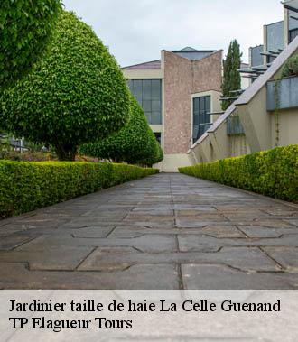 Jardinier taille de haie  la-celle-guenand-37350 TP Elagueur Tours 