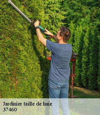 Jardinier taille de haie  cere-la-ronde-37460 TP Elagueur Tours 