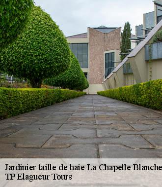 Jardinier taille de haie  la-chapelle-blanche-saint-martin-37240 TP Elagueur Tours 
