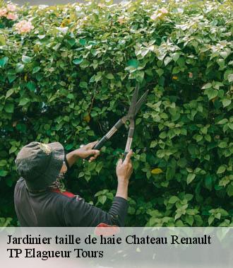 Jardinier taille de haie  chateau-renault-37110 TP Elagueur Tours 