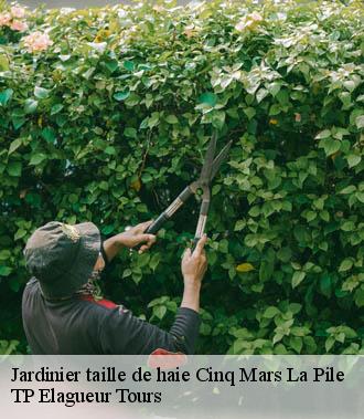 Jardinier taille de haie  cinq-mars-la-pile-37130 TP Elagueur Tours 