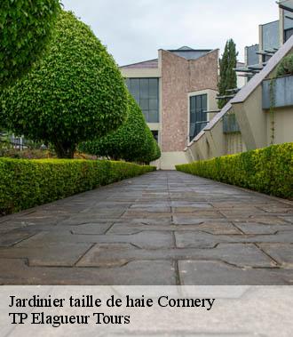 Jardinier taille de haie  cormery-37320 TP Elagueur Tours 