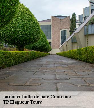 Jardinier taille de haie  courcoue-37120 TP Elagueur Tours 