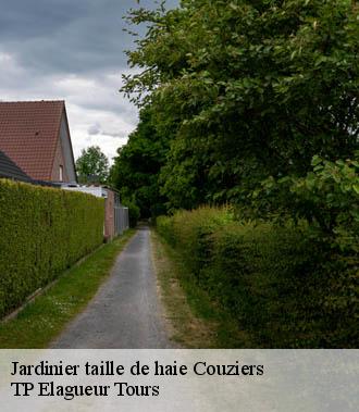 Jardinier taille de haie  couziers-37500 TP Elagueur Tours 