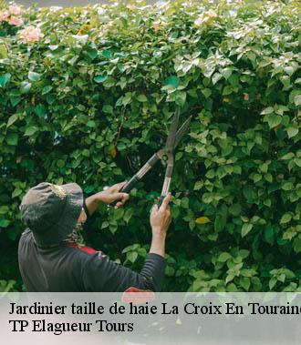 Jardinier taille de haie  la-croix-en-touraine-37150 TP Elagueur Tours 