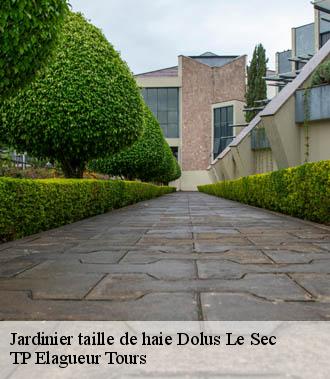 Jardinier taille de haie  dolus-le-sec-37310 TP Elagueur Tours 