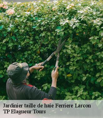 Jardinier taille de haie  ferriere-larcon-37350 TP Elagueur Tours 