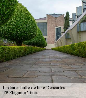 Jardinier taille de haie  descartes-37160 TP Elagueur Tours 