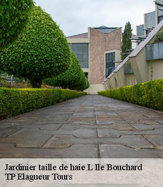 Jardinier taille de haie  l-ile-bouchard-37220 TP Elagueur Tours 