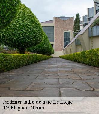 Jardinier taille de haie  le-liege-37460 TP Elagueur Tours 