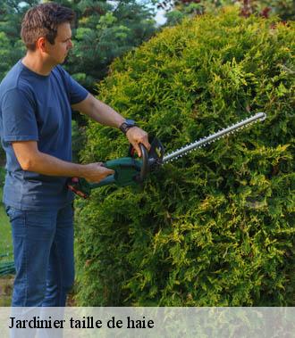 Jardinier taille de haie  louestault-37370 TP Elagueur Tours 