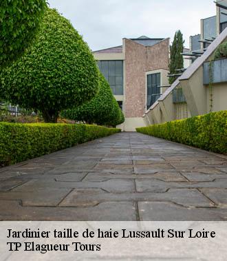 Jardinier taille de haie  lussault-sur-loire-37400 TP Elagueur Tours 