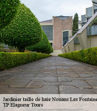 Jardinier taille de haie  nouans-les-fontaines-37460 TP Elagueur Tours 