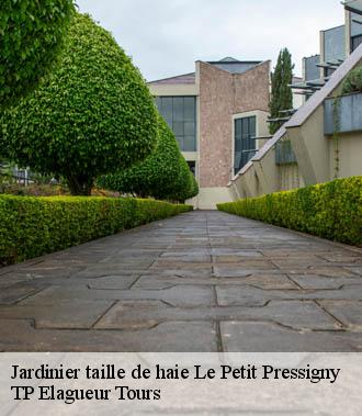 Jardinier taille de haie  le-petit-pressigny-37350 TP Elagueur Tours 