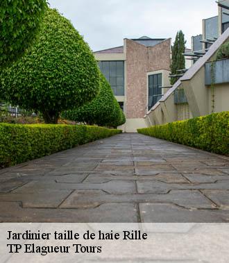 Jardinier taille de haie  rille-37340 TP Elagueur Tours 