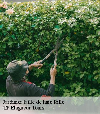 Jardinier taille de haie  rille-37340 TP Elagueur Tours 