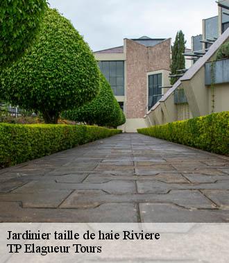 Jardinier taille de haie  riviere-37500 TP Elagueur Tours 