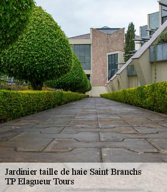 Jardinier taille de haie  saint-branchs-37320 TP Elagueur Tours 