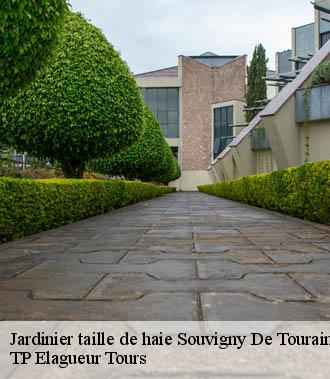Jardinier taille de haie  souvigny-de-touraine-37530 TP Elagueur Tours 